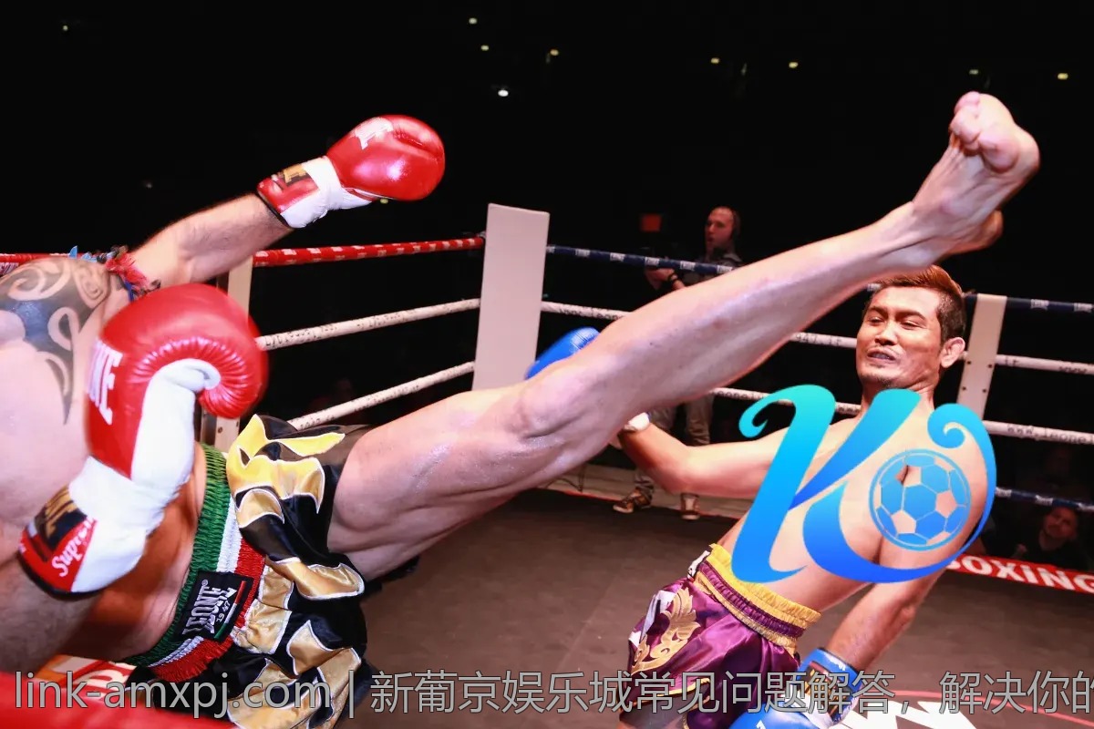 新葡京娱乐城常见问题解答，解决你的疑惑