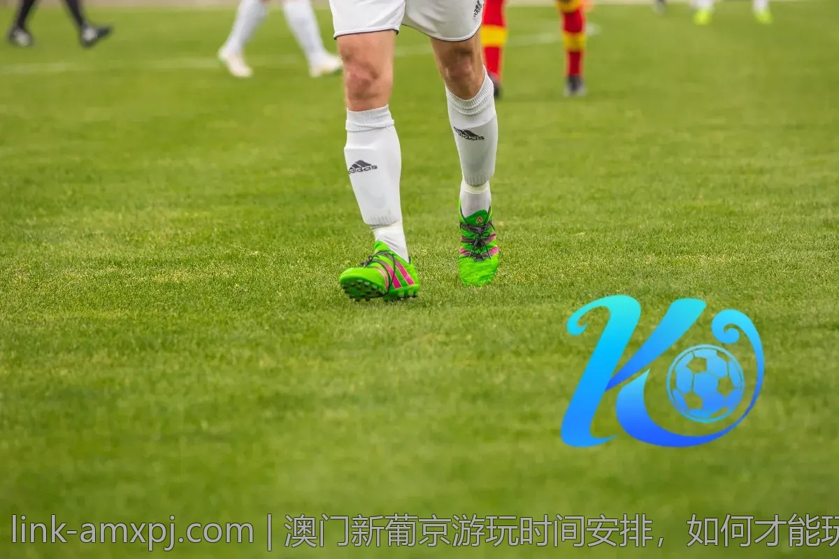 澳门新葡京游玩时间安排，如何才能玩得尽兴