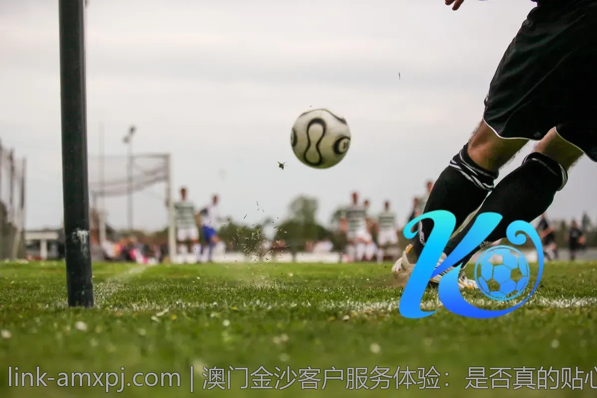 澳门金沙客户服务体验：是否真的贴心？