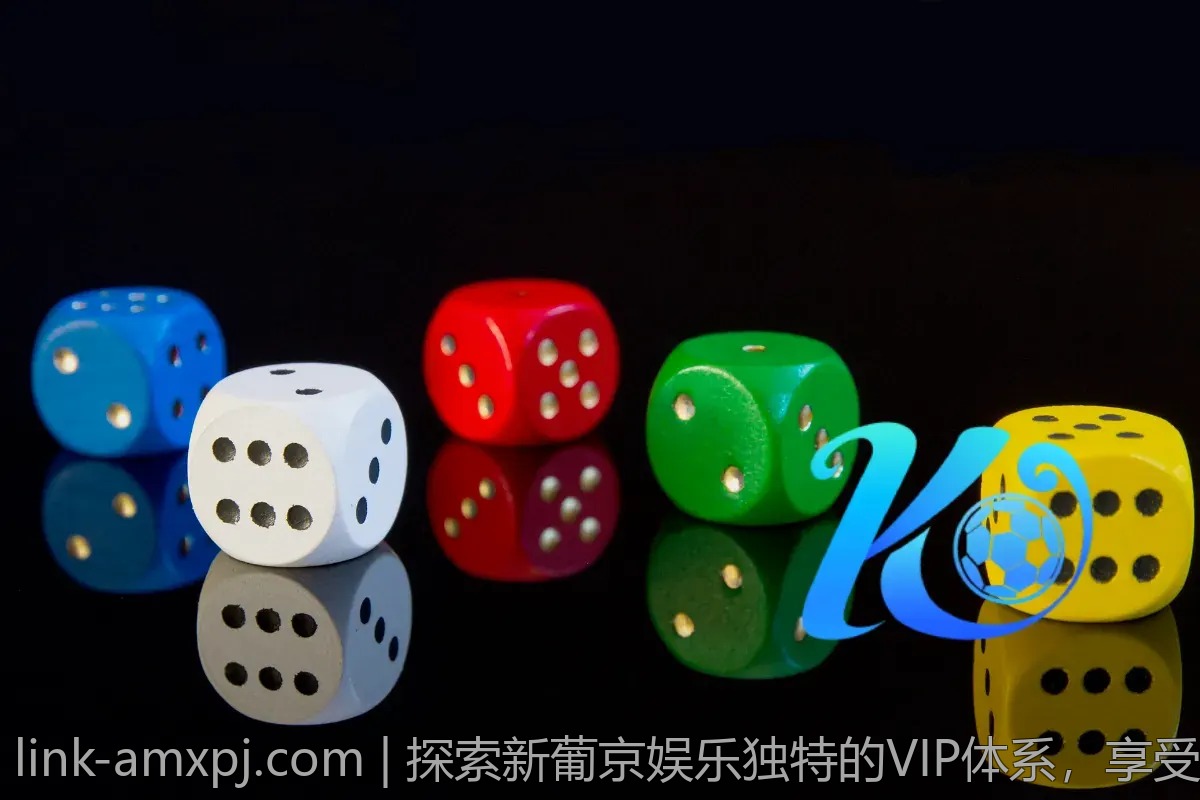 探索新葡京娱乐独特的VIP体系，享受不一样的服务