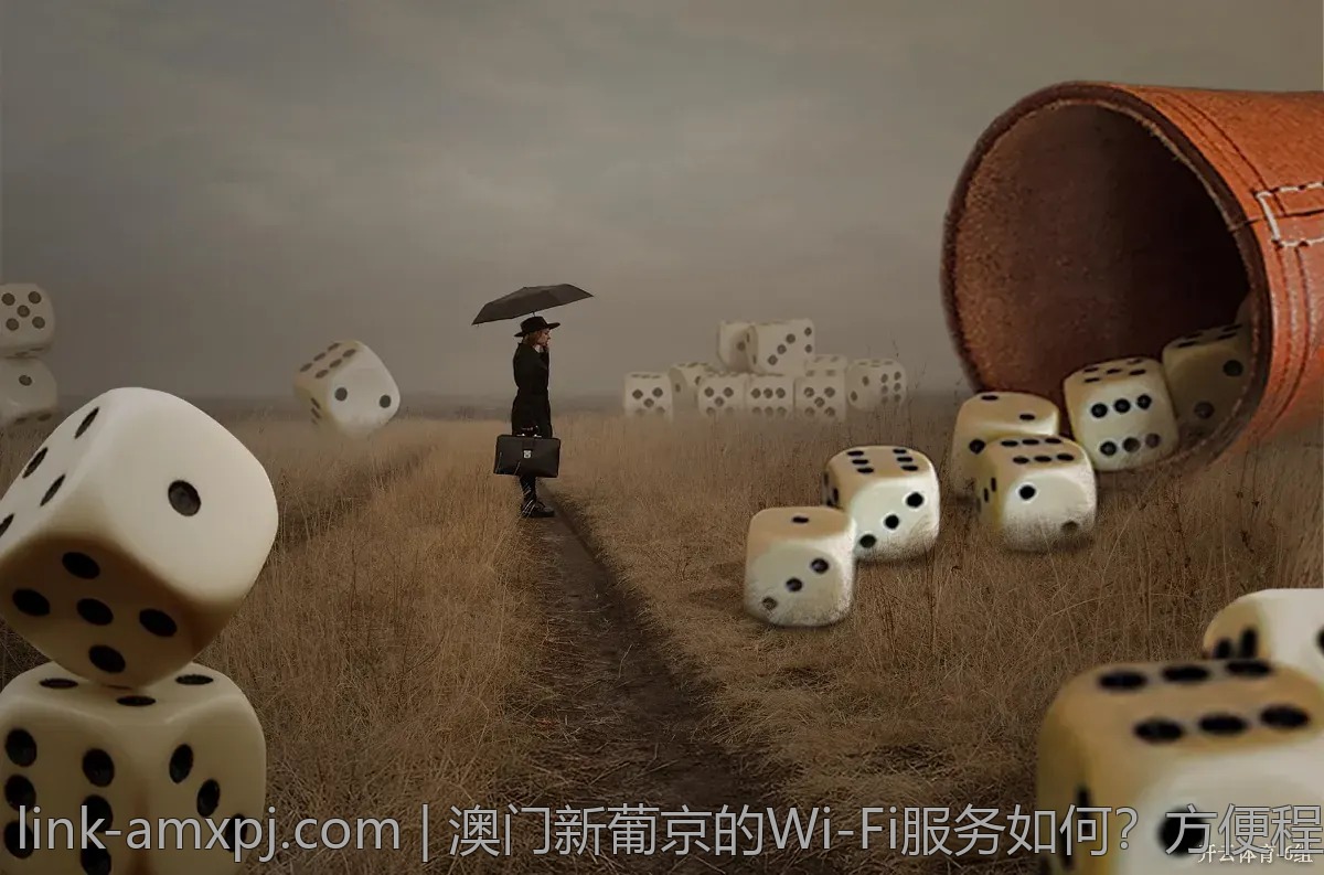 澳门新葡京的Wi-Fi服务如何？方便程度如何评估？