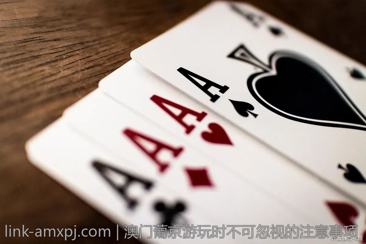 澳门葡京游玩时不可忽视的注意事项