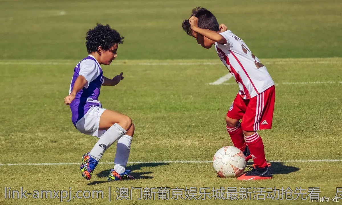 澳门新葡京娱乐城最新活动抢先看，尽享超值优惠