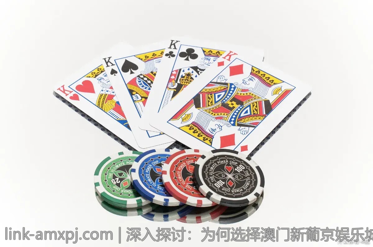 深入探讨：为何选择澳门新葡京娱乐城的理由