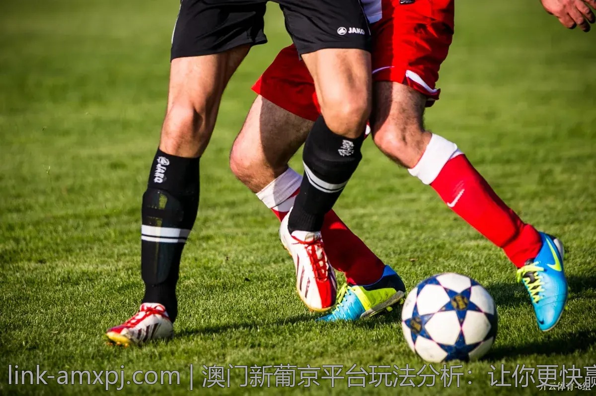 澳门新葡京平台玩法分析：让你更快赢得收益