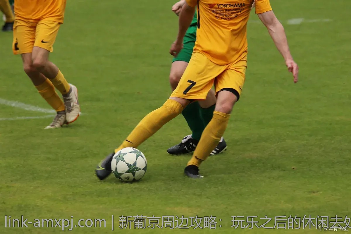 新葡京周边攻略：玩乐之后的休闲去处