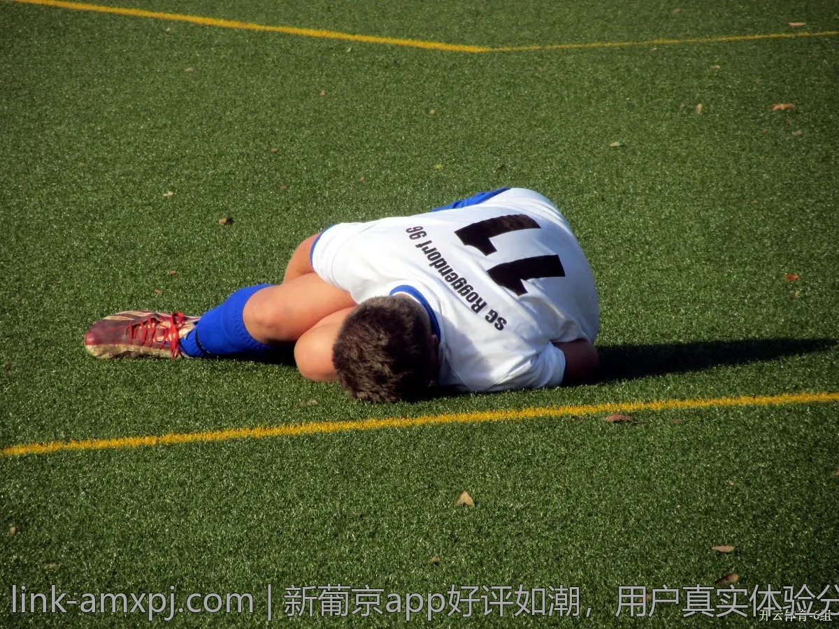 新葡京app好评如潮，用户真实体验分享